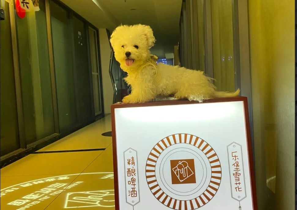 (转让)昆明路金创大厦地段优势
