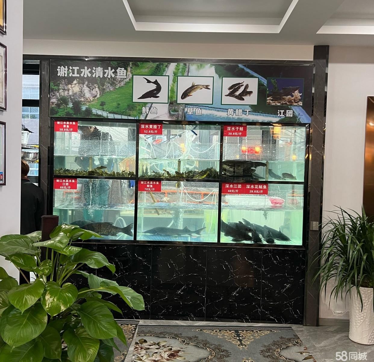 (转让)有意者联系，接手可经营