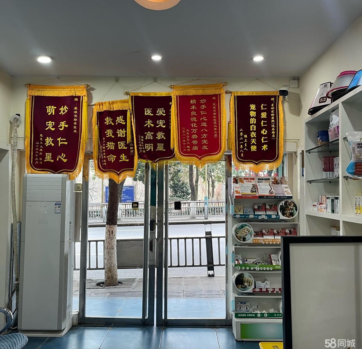 (转让)老城宠物医院整体转让