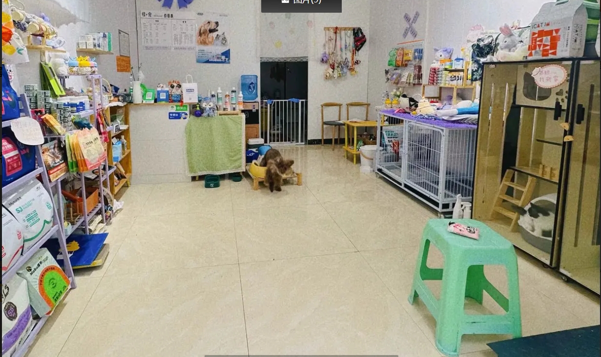 (转让)宠物店转让，价格低，新手无压力