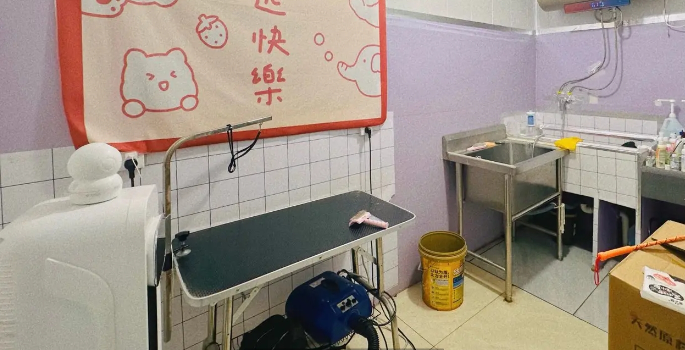 (转让)宠物店转让，价格低，新手无压力