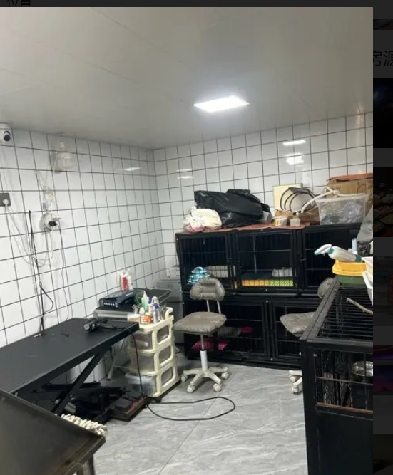 (转让)门口有很大的平台属于自己的区域，你可以建个小花园