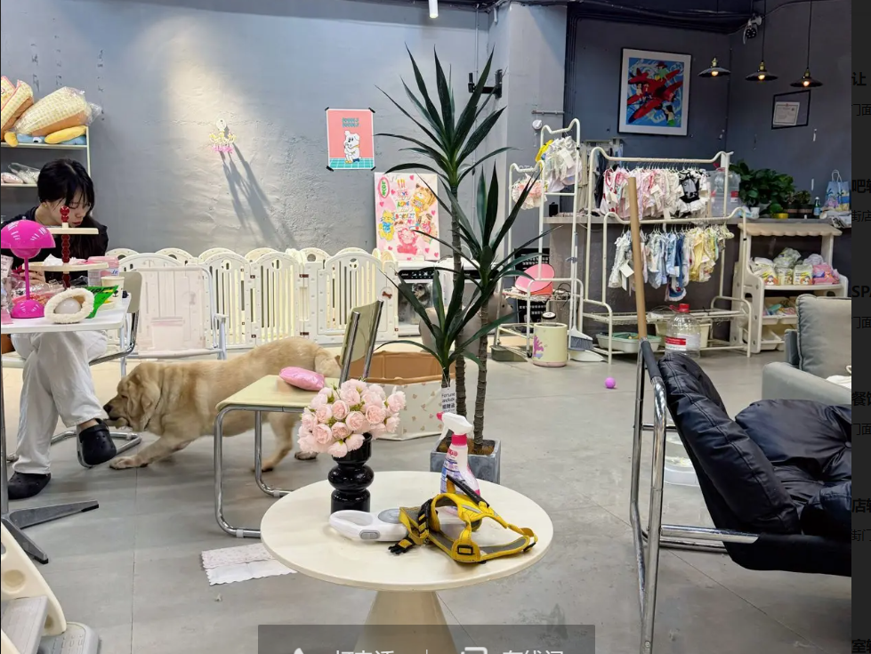 (转让)宠物店整店转出，包含货品用具