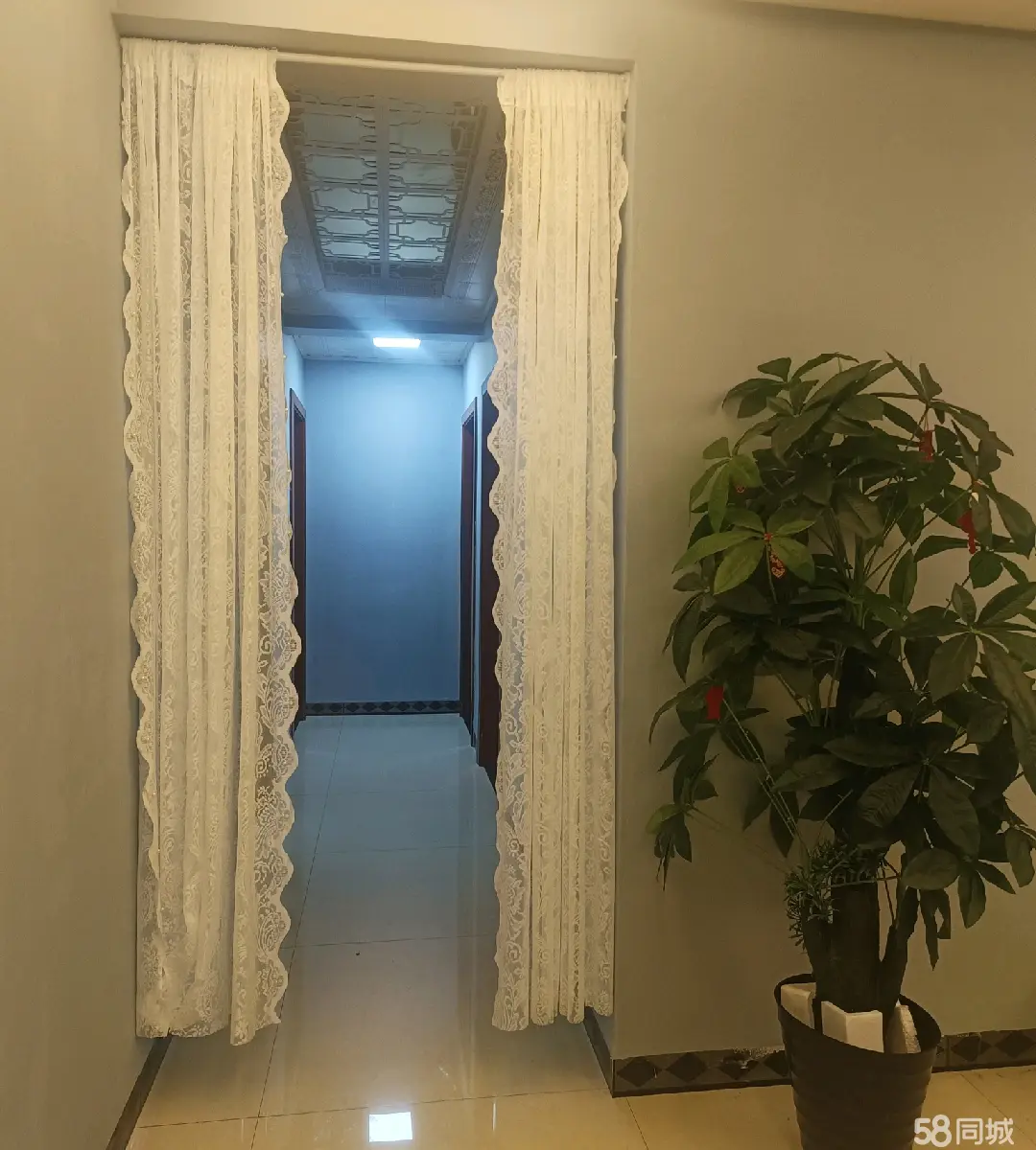 (转让)养生SPA，低价转让，两大主流平台正常营业。客源稳定