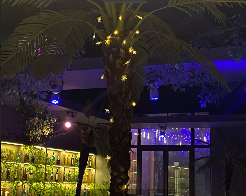 (转让)大学城最近的一家酒馆，热带雨林风，证件齐全。